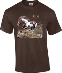 Beautiful Paint Horse Cowboy Cowgirl T-Shirt