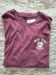 Jcrew Mens Short Sleeve New York Tshirt Medium $49.50 retail MINT FREE SHIPPING!