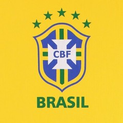 Nike Brasil Soccer Shirt, Mens Slim Fit 547212 Brazilian Football Team T Shirt