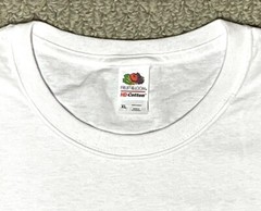 Fruit Loom HD Cotton Novelty T Shirt Positive Ebay Reseller Seller Tee XL