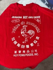 Lot of Big & Tall T-Shirts – 2X 3X 4X 5X – Tall Sizes