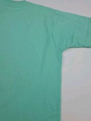 Vintage West Virginia Outdoor Nature Animals Wildlife Wilderness Art T Shirt USA