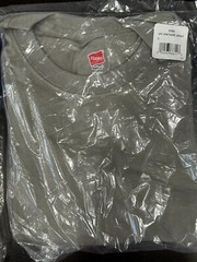 Hanes Tagless 100% Preshrunk Cotton Men’s Size Large Tee Shirts Many Colors