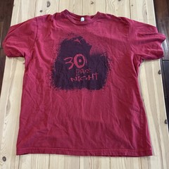 30 Days Of Night Horror Movie Promo T-Shirt S Officially Licensed 2007