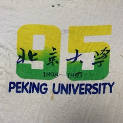 Vintage Peking University T Shirt Large 90s Single Stitch College Beijing China
