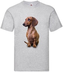 Brown Dachshund Dog Pet Friend Family Novelty T Shirt Various Colours And Sizes