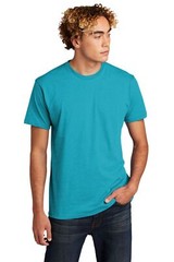NL6210 Next Level Unisex CVC Tee