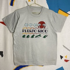 Vintage 70s Frogs Puerto Rico Tshirt Large Flag Sunset Retro Beach Single Stitch