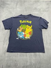 Pokémon Kalos Region Starter Trio & Pikachu Graphic T-Shirt