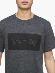 NWT Calvin Klein Men’s Graphic Logo Box Crewneck T-Shirt, Choose Color and Size
