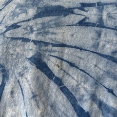 Disneyland Resort T Shirt Size M 100% Cotton Tie-Dye Blue