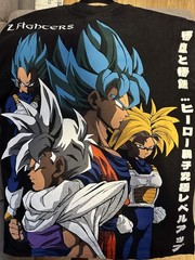 Dragon Ball Z / Z Fighters T-Shirt – L
