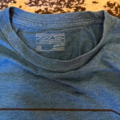 Patagonia Classic Graphic T-Shirt Blue Men’s Size XS Small Slim Fit Tee Gorpcore