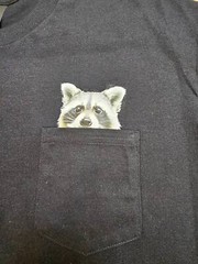 Funny Raccoon Shirt – Humor Raccoon Hidden Middle Finger Pocket – Raccoon