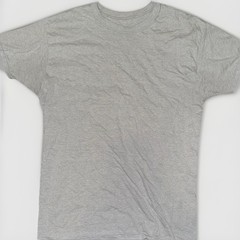 Hanes Comfortsoft Men Crewneck Short Sleeves Plain Cotton T-Shirt O5280