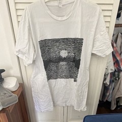 Grouper Liz Harris Robert Arber Limited Edition Art Men’s L T-Shirt Experimental