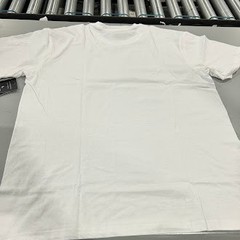BLUE ICE PLAIN SHORT SLEEVES T-SHIRT – SIZE: MEN L – WHITE