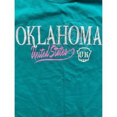 Gildan DryBlend Oklahoma United States Graphic T-Shirt Teal Green Mens XL