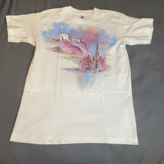 Vtg Art Shirt Hand colored Serigraph Pueblo 1989 Mens Sz L