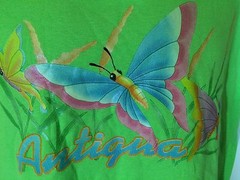 T-SHIRT M 100% Cotton GREEN – ANTIGUA BUTTERFLIES – WEST INDIES ISLAND e