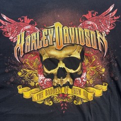 Harley Davidson Men’s Graphic Print Riding High Engine T-shirt Sz 3XL