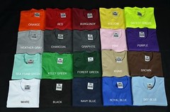 2 NEW PROCLUB LARGE HEAVY WEIGHT T-SHIRTS PLAIN TEE PRO CLUB COLOR BLANK 2PC