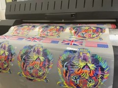 Custom Iron On Heat Transfers Personalised DIY T-shirt Ready Apply DTF Wholesale