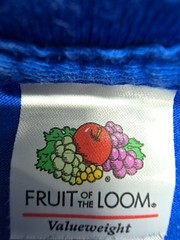 Fruit Of The Loom Unisex Kids T-Shirt Blue Graphic Vineyard Size M Good Condition
