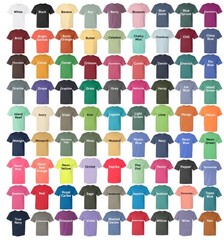 Widespread Panic / Atlanta Braves Classic Logo Comfort Colors Unisex T-Shirt