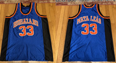 Biohazard Basketball Jersey Blue Size S-5XL 2 Side DMJ4152