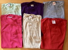 Adult Size Large New Tee Shirts Variety of Colors Great for Crafting Lot of 6