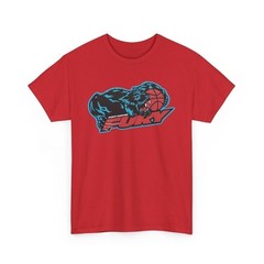 Fort Wayne Fury Indiana CBA Basketball 1991-2001 T-shirt