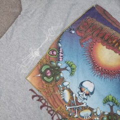 Vtg Grateful Dead Shirt Men XL Gray Aoxomoxoa Rick Griffin Album Anvil 2001