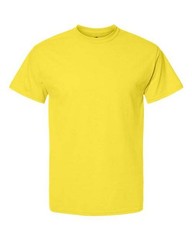 Hanes 5280 Unisex Essential- T-Shirt