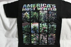 MARIJUANA AMERICA’S MOST WANTED WEED CANNABIS KUSH T-SHIRT