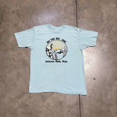 Vintage 80s Jackson Hole Wyoming T Shirt Men M Blue Ski Outdoor Nature Art USA