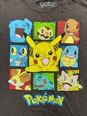 Pokémon Character Grid Graphic T-Shirt Charcoal Heather XL