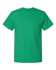 Champion Unisex Classic T-Shirt – T425