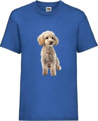 Miniature Poodle White Dog Pet Family Novelty T Shirt Various Colours And Sizes