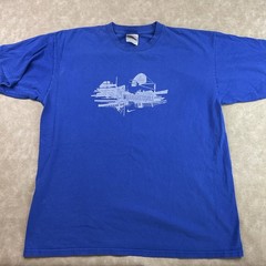 Vintage Nike T-Shirt Men Sz L Basketball Court Y2K Distressed Blue Crewneck