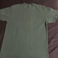 Santa Cruz Skateboards Logo Graphic T-Shirt Green