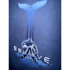 SeaWorld Believe Orca Whale Graphic T-Shirt Navy Blue Fruit of the Loom Small