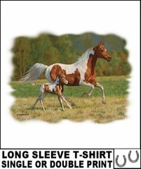 BEAUTIFUL WILD AMERICAN PAINT HORSE COLT FOAL LONG SLEEVE T-SHIRT AB351