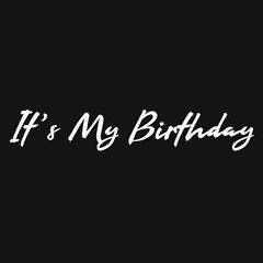 It’s My Birthday Sarcastic Humor Graphic Tee Gift For Men Novelty Funny T Shirt
