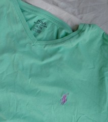 POLO RALPH LAUREN Men’s Green T-Shirt M Purple Pony Crew Neck Cotton Classic