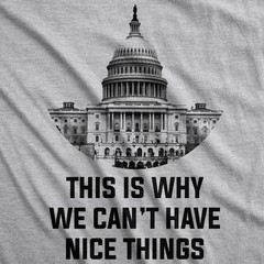 This Is Why We Can’t Have Nice Things T Shirt Funny Anti Capitol Political Tee