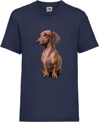 Brown Dachshund Dog Pet Friend Family Novelty T Shirt Various Colours And Sizes