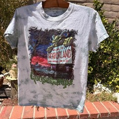 Mad Engine Goosebumps HorrorLand Graphic Tie-Dye Tee Mens S White Blue