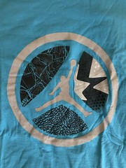 Air Jordan T Shirt Blue Sz M 100 % Authentic